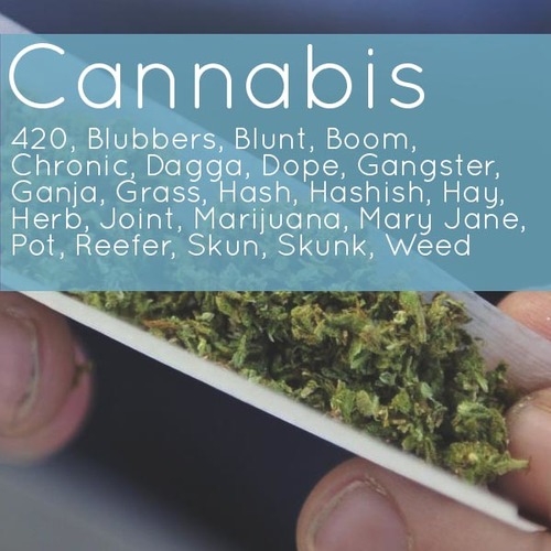 image of marijuana being rolled in a joint with text