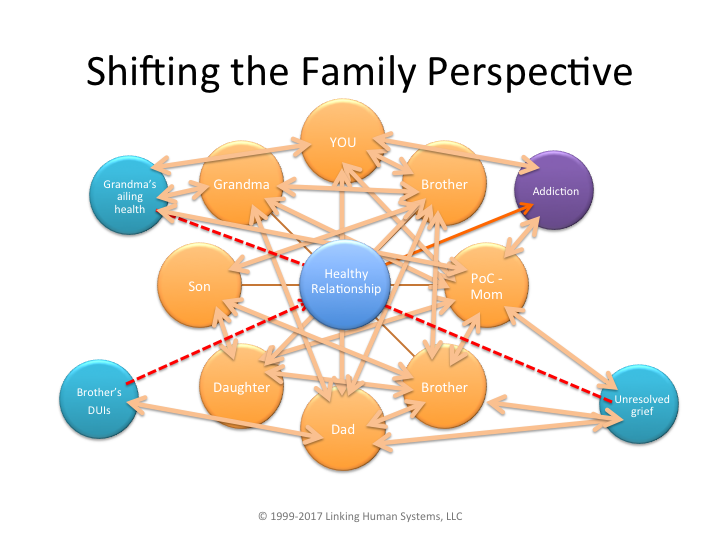 shifting the family perspective back on the family - diagram